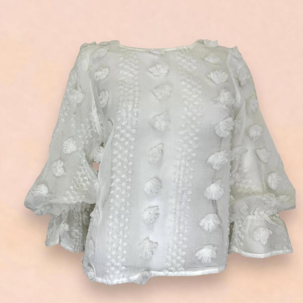 Sheer patterned long sleeve top